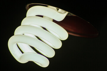 fluorescent power saving lightbulb black backgrond shot, photo is selective focus with shallow depth of field, taken at Cairo Egypt