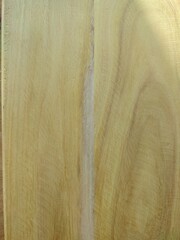 jackfruit wood texture