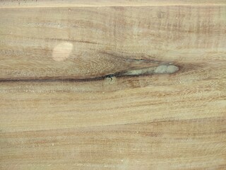 jackfruit wood texture