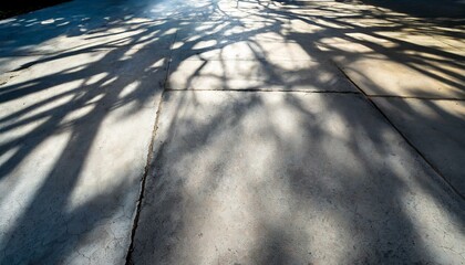 コンクリートに落ちる影