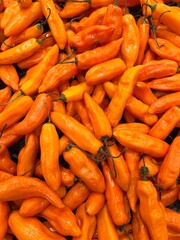 carrots on the market