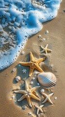 Fototapeta na wymiar sea shore with waves, seashells, starfish, copy space
