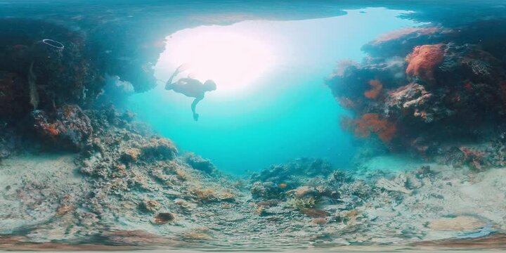 360 vr footage of the freediver swimming underwater in the tropical sea and exploring intricate seascape and abundant marine life of the West Papua region in Indonesia