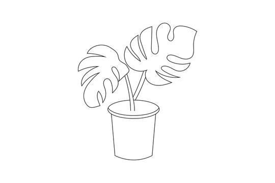 recommend clip art: Hand drawn vector of Swiss Cheese Plant in Black and white. Outline, stroke and line art illustration.