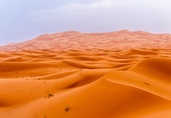 Fototapeta na wymiar Sahara sunset