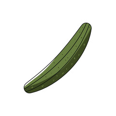 cucumber illustration. vector vegetables white background.