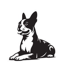 Boston Terrier Silhouettes, Vintage Boston Terrier Artwork, Black and White Boston Terrier Silhouettes, Retro Styled Boston Terrier Illustrations, Vintage Boston Terrier Designs