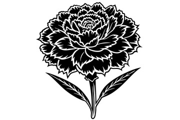 Carnation Flower silhouette  vector art illustration