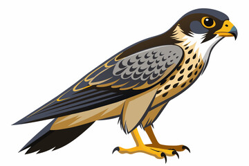  falcon full body high detail vector 