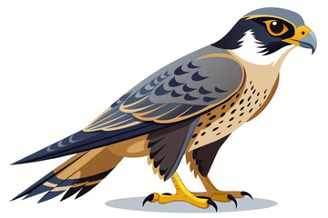  falcon full body high detail vector 