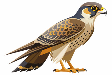  falcon full body high detail vector 
