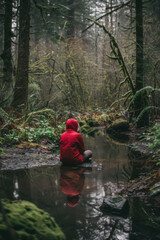 Fototapeta na wymiar A person in a red jacket sits by a serene stream surrounded by the lush greenery of a dense forest