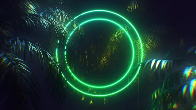 Against the background of tropical plants, glowing frames with neon lights, useful for displaying text and logos, seamless loop 4K

