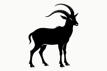 realistic ibex  vector silhouette