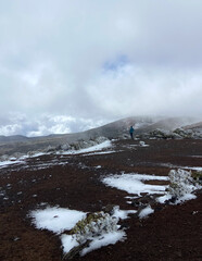 View of Teide National Park on a cold snowy day with mountain plants covered by ice....