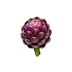 Obraz premium Purple artichoke isolated on transparent background.