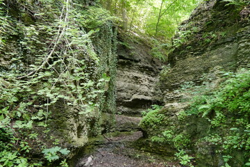 Felsen bei Bad Kösen
