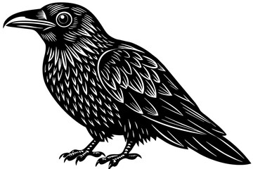 Crow bird silhouette  vector art illustration