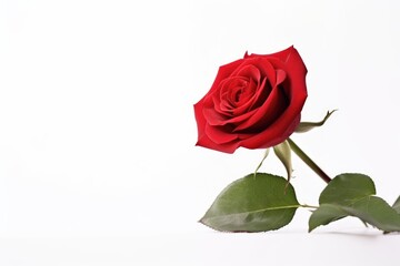 Elegant red rose with leaves against a pure white backdrop, symbolizing love and romance. Single Red Rose Isolated on White Background