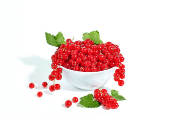 Red currant berry isolated on white background