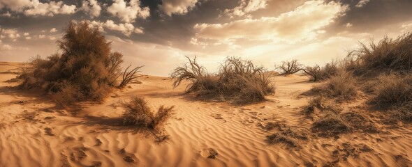 desert sahara sand dunes with dry dead trees for hot weather and protecting the planet and global warming, arabia or africa environment banner, lost and nowhere concepts - obrazy, fototapety, plakaty