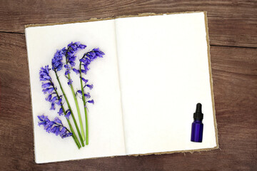 Bluebell flowers used in naturopathic herbal medicine with old hemp notebook and blue tincture bottle on rustic wood background. Floral nature study of British species.
