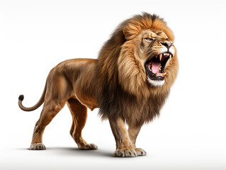 A majestic lion roaring isolated on white background cutout сreated with Generative Ai