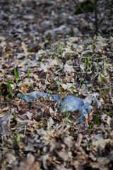 An empty dirty plastic bottle lies on dry leaves in the forest. The ecological problem is a forest with plastic waste. Waste collection and recycling concept.