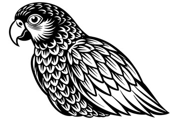 Parrot silhouette  vector art illustration