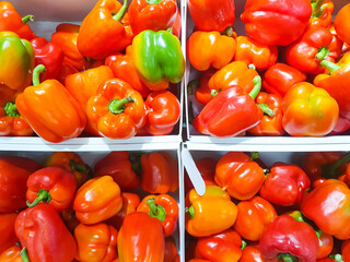 Red sweet, bell peppers, background. Natural sweet pepper,harvest,harvest,market.