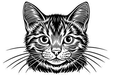 Cat silhouette  vector art illustration