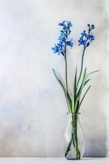 A minimalist still life photograph featuring vibrant blue flowers in a clear glass vase against a textured white wall, exuding simple elegance.