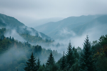 Mountains in the fog - obrazy, fototapety, plakaty