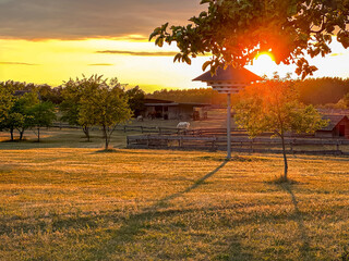 Pferdekoppel auf einem Feld bei Sonnenuntergang