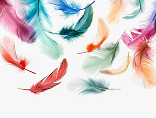 Bright multi-colored feathers on a white background