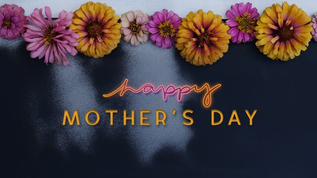 Zinnia flower blooms on happy Mothers Day background for holiday greeting.