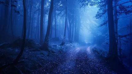 Cercles muraux Forêt des fées eerie dark forest path illuminated by spooky blue light, misty fantasy landscape