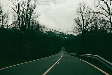 Empty misty road through winter forest. Scenic picturesque route. Sense of journey, exploration....