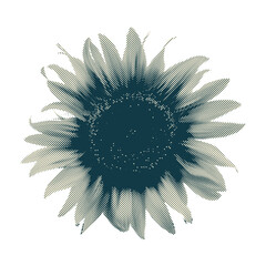 Trendy elements with a retro photocopy effect. y2k elements for design. Flowers, chamomile, sunflower, dandelion. Grain effect and stippling. Vector dots texture.