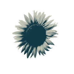 Sunflower halftone 