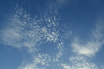 Naklejka na ściany i meble the clouds in the blue sky form thin clumps