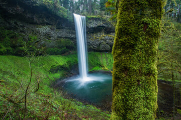 south falls located in Silver Falls state park of Oregon