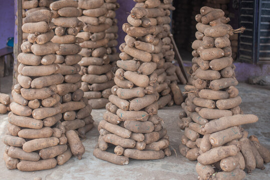 Heap of yam tuber for sale in Bere market, Oyo, Nigeria on March 22, 2024.