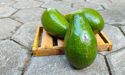 Whole Alpukat or Avocado (Persea americana), ripe and fresh, served in bamboo mat on grey background, close up and copy space.