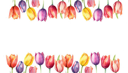 watercolor row of colorful tulip flowers on white background - obrazy, fototapety, plakaty
