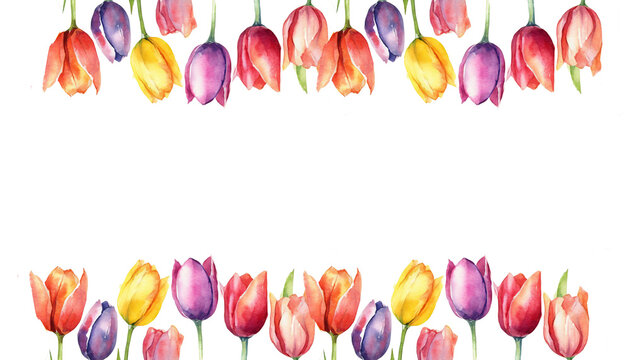 watercolor row of colorful tulip flowers on white background