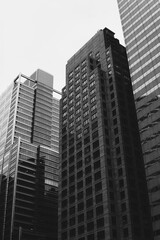 Fototapeta na wymiar large buildings in city (chicago, illinois)