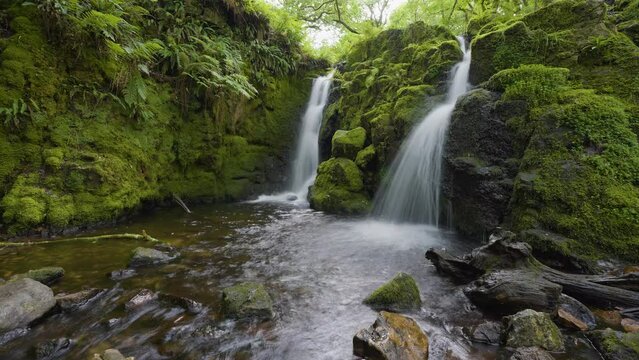 Water cascading over waterfall in rainforest time lapse