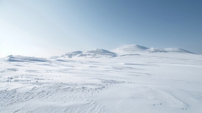 A barren landscape completely covered in pure white snow with no visible signs of life or movement.
