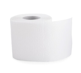 One toilet paper roll isolated on white